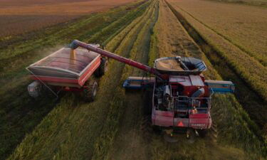 Rice is loaded into a grain cart during a harvest at a farm in Pace