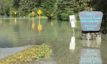 Water inundates a roadway in the Tongass National Forest in Juneau