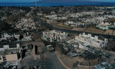 An aerial image shows destroyed homes and vehicles on August 17 after a wind-driven wildfire burned through Lahaina
