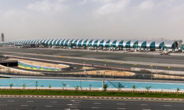 The escaped bear caused a delay at Dubai International Airport.