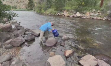 "Devastated" Poudre River restocked with 108