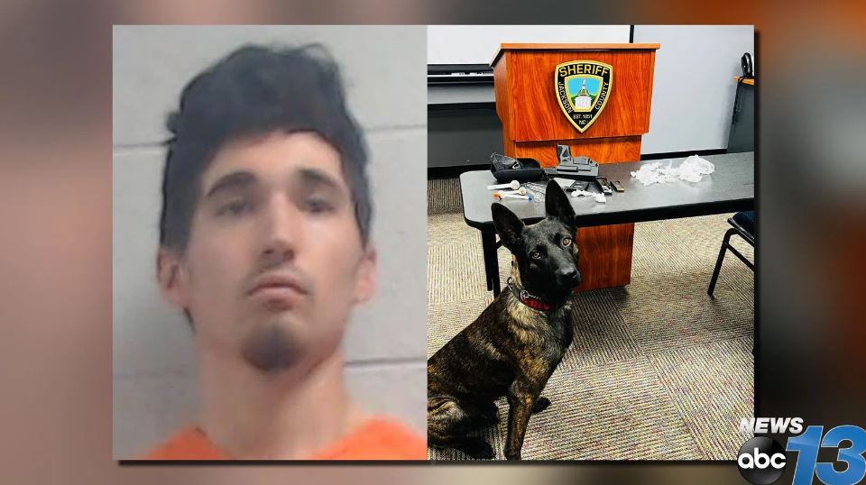 <i>Jackson County Sheriff's Office/WLOS</i><br/>Maverick Bruce Hernandez was charged with possession with intent to manufacture and deliver methamphetamine and possession of drug paraphernalia after an investigation into a larceny on September 8