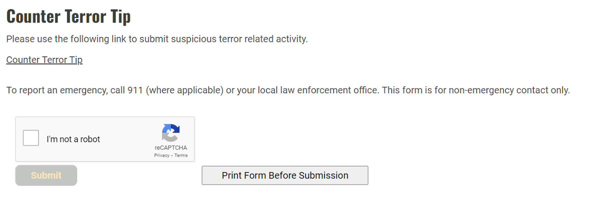 This screenshot from the Camden County Sheriff's Office's website shows a webpage where residents can submit tips about suspicious behavior related to terrorism, according to a press release from the agency. 