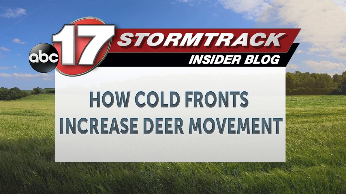 Missouri Department of Transportation - Cooler weather and bow season have  deer on the move in Missouri. Look out for deer when you're driving! **We  have noticed the spelling error of convertibles.