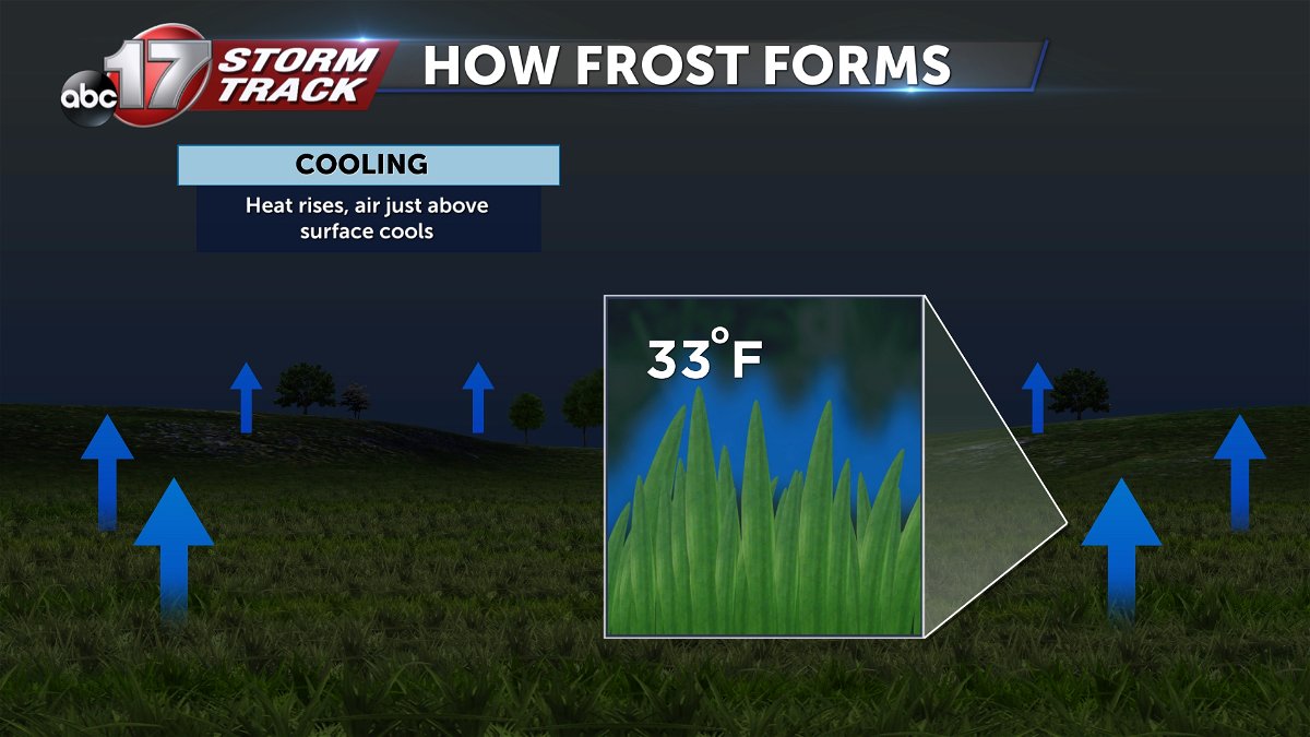 Breakdown: Why frost can develop even though temperatures readings are  above freezing