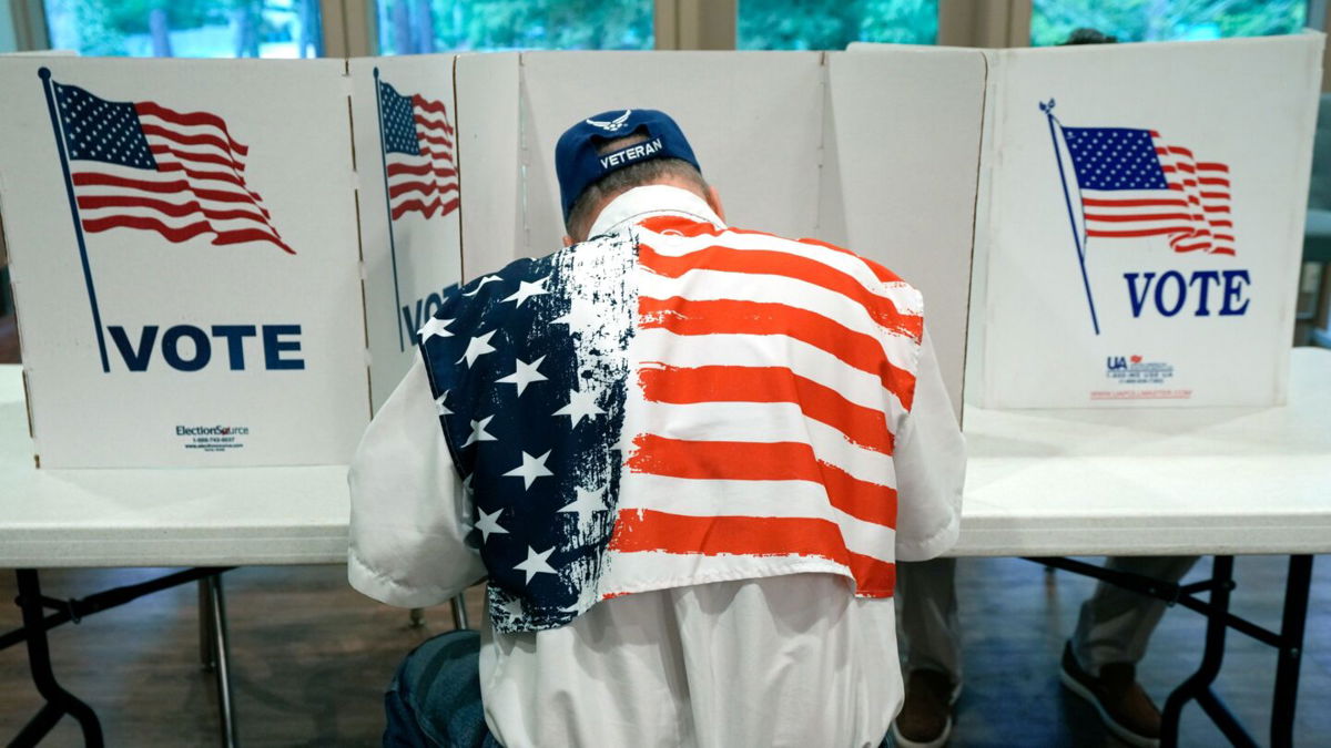 A voter is seen at a kiosk