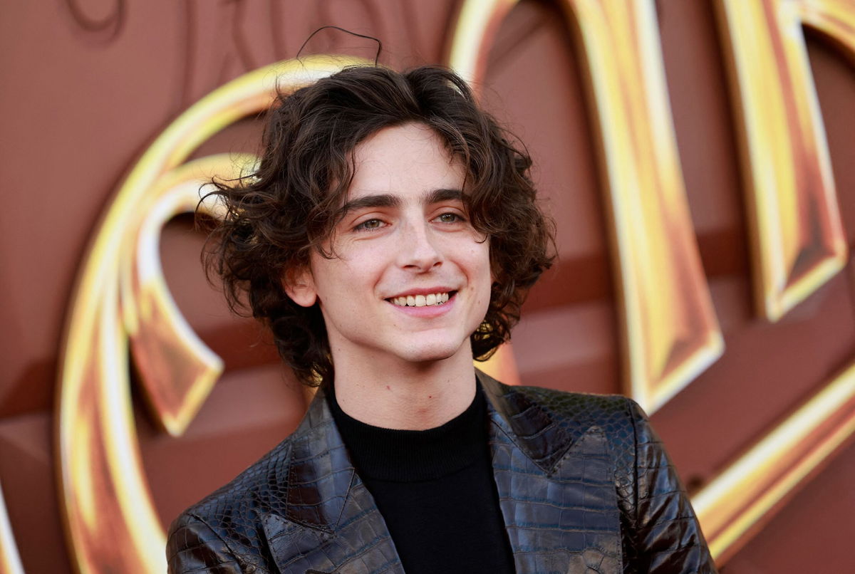 Timothée Chalamet jokes he could have been ‘reject French’ Ken in ...