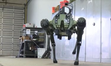 Barksdale Air Force Base has two new companions - robot dogs named Adam and Chappie. They can help people stay out of dangerous situations.