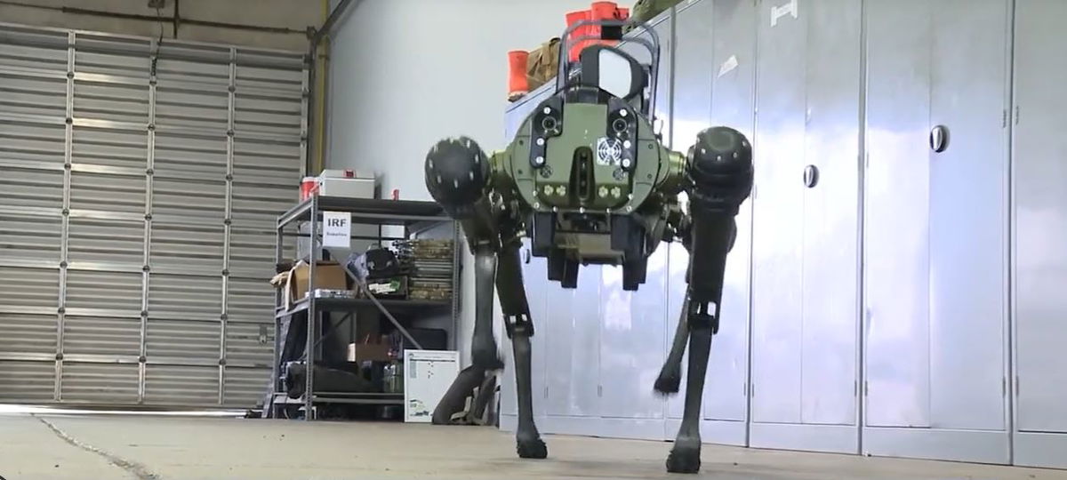 <i></i><br/>Barksdale Air Force Base has two new companions - robot dogs named Adam and Chappie. They can help people stay out of dangerous situations.