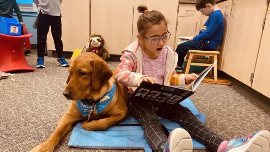 <i></i><br/>Forest Hills Public Schools launched a new support dog program aimed at helping students with their mental health while at school.