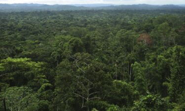 The cities were found in the Upano Valley of Amazonian Ecuador