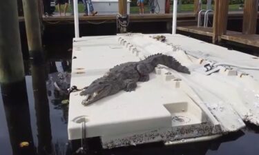 A resident at a condo complex in Fort Lauderdale