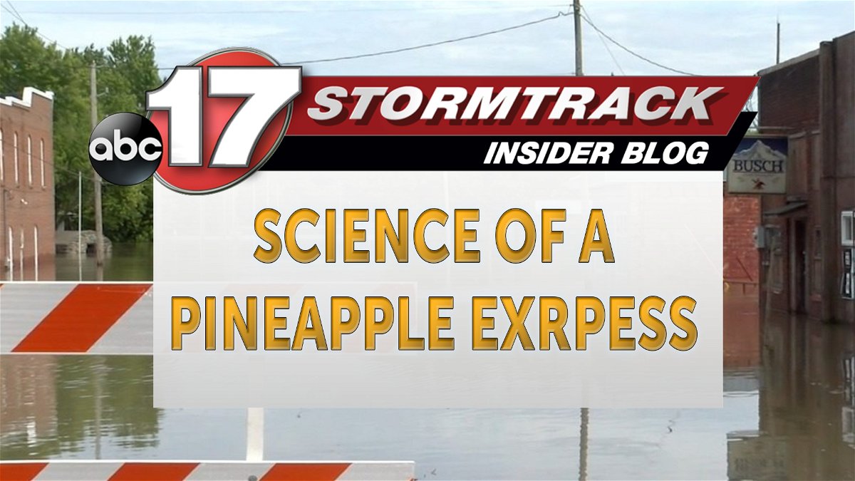 De Pineapple Express begrijpen: een wetenschappelijke verkenning