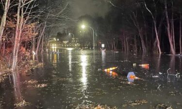 A driver who didn't know how to swim was rescued after he clung to a tree when his car became submerged in water Wednesday on a flooded road in Norwood