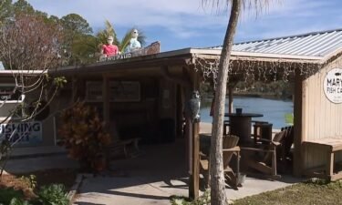 Two manatees were found dead right in front of Mary’s Fish Camp.