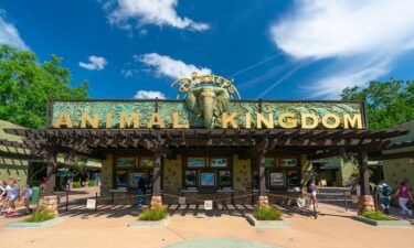The lowest single-day price for Animal Kingdom has gone up by $10 for 2025 tickets.