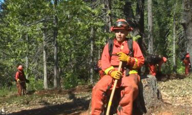 The California Department of Corrections and Rehabilitation has expanded its inmate firefighter program to young offenders.