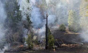 A three-acre wildland fire at Camp Yuba was sparked by someone who disposed of wood stove ashes