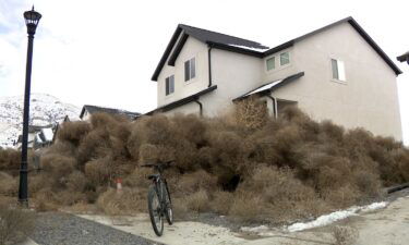 Thousands of tumbleweeds blew into Eagle Mountain neighborhoods in Utah on March 2.