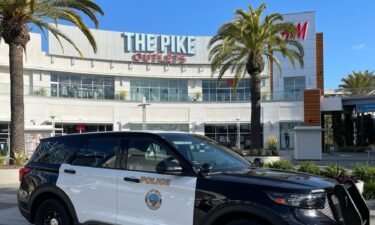 Police were called to the Pike Outlets in Long Beach on Saturday after a brawl broke out in the midst of a huge mob of teenagers.