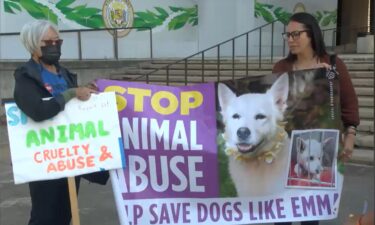 The Honolulu Police Chief rallied with animal activists to advocate for animal cruelty bills.