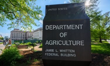 Scientists say the United States is not sharing enough data from its investigation into H5N1 bird flu in cattle and other mammals.