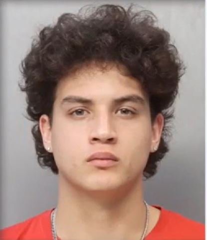<i>Turner Guilford Knight Correctional Center/WSVN via CNN Newsource</i><br/>Juan Pablo Gaviria Arce was arrested after videos showing him abusing his dogs surfaced on social media