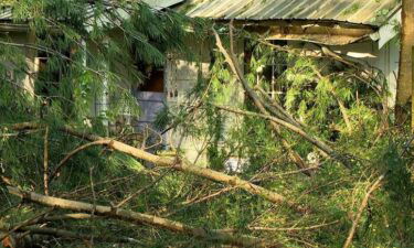 A Henderson County homeowner is sharing his story after a big section of tree came crashing through his window while he and his dogs were inside during the May 8 storms.