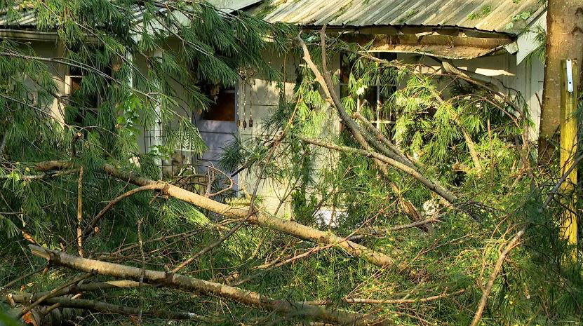 <i>WLOS via CNN Newsource</i><br/>A Henderson County homeowner is sharing his story after a big section of tree came crashing through his window while he and his dogs were inside during the May 8 storms.