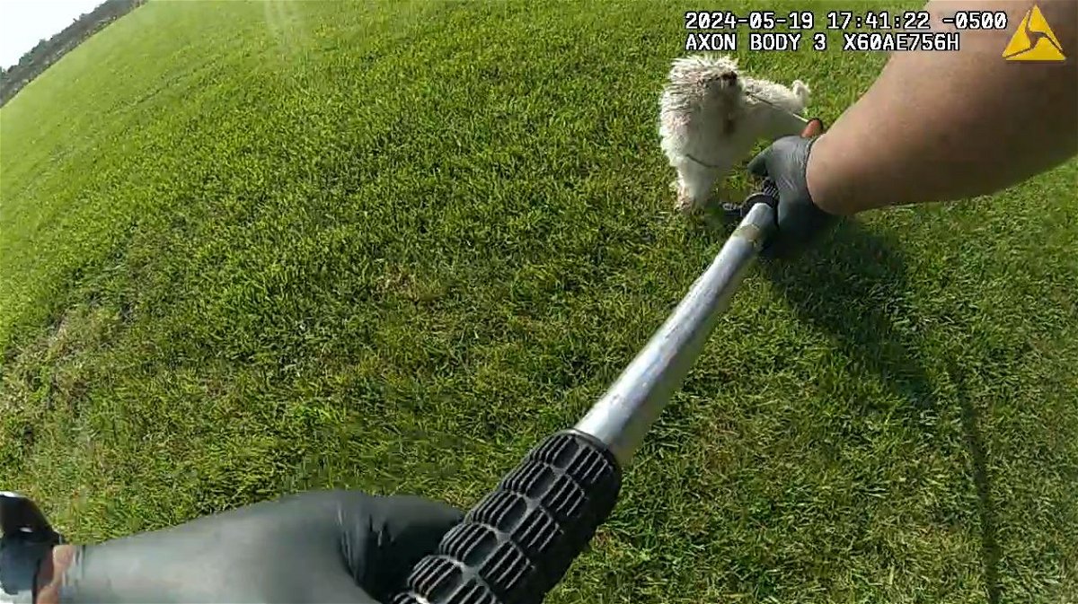 This screenshot shows a police officer attempting to capture a 13-pound, blind-and-deaf dog moments before he shot it to death. 