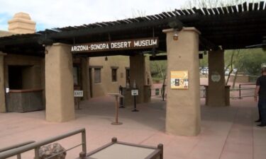 The Arizona-Sonora Desert Museum is a zoo