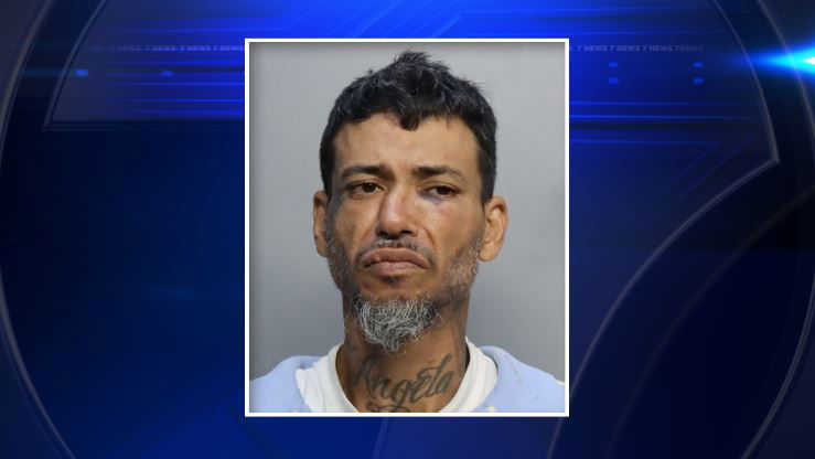<i>WSVN via CNN Newsource</i><br/>The suspect is identified by police as 41-year-old Luis Enrique Machado.