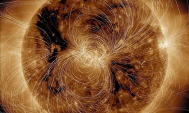 This view of the sun's magnetic field was generated by NASA's Solar Dynamics Observatory.