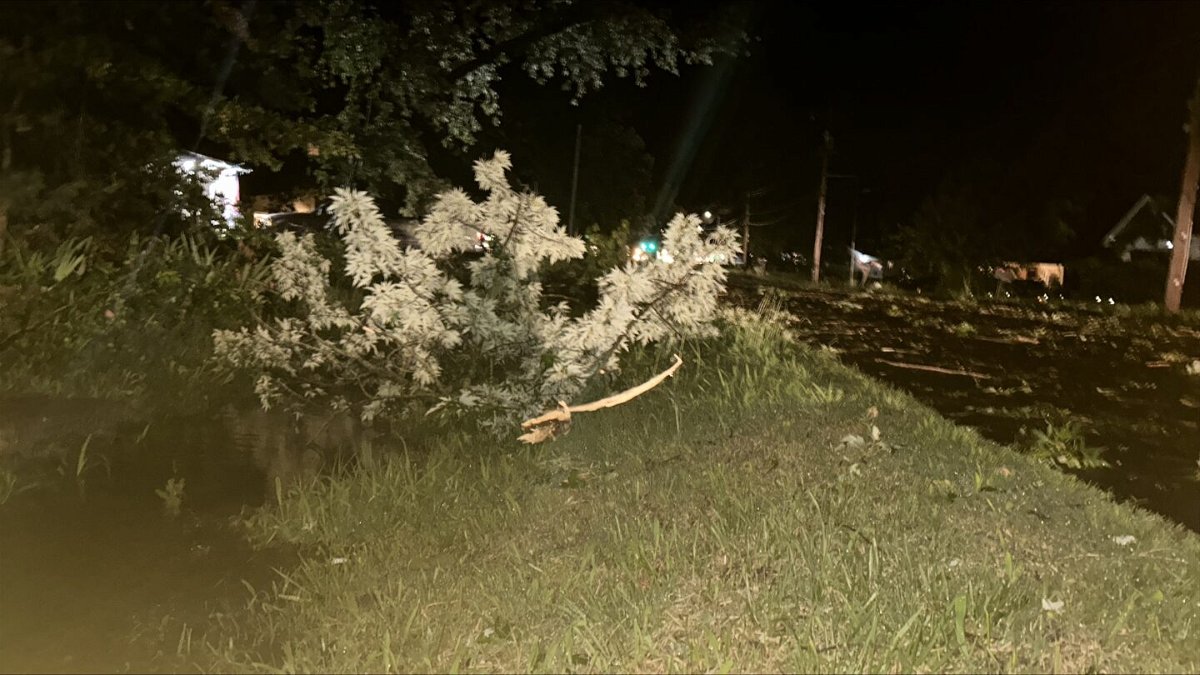 Branches are down Thursday, June 13, 2024, on Route B near Hudson Avenue in Hallsville.