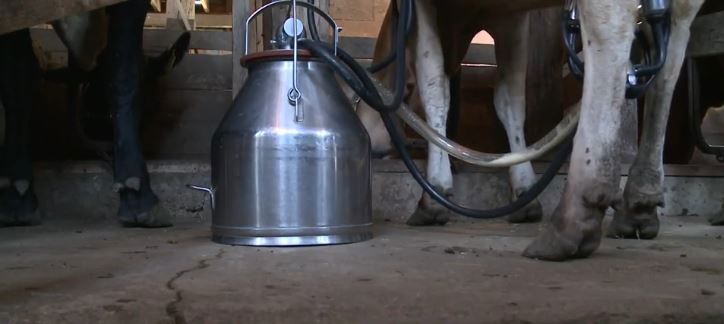 <i>KCCI via CNN Newsource</i><br/>The Food and Drug Administration is asking states to discourage raw milk sales. There is a new fear it could transmit bird flu. Now