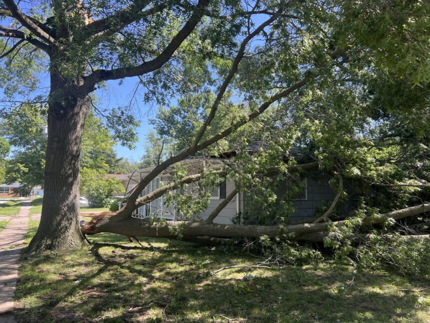 Severe storms rip up trees in northern Boone County, damaging homes ...