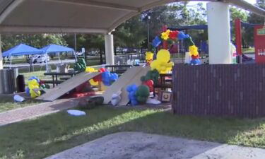 A 3-year-old boy died after a shooting during a birthday party in Fort Lauderdale's Riverland park.