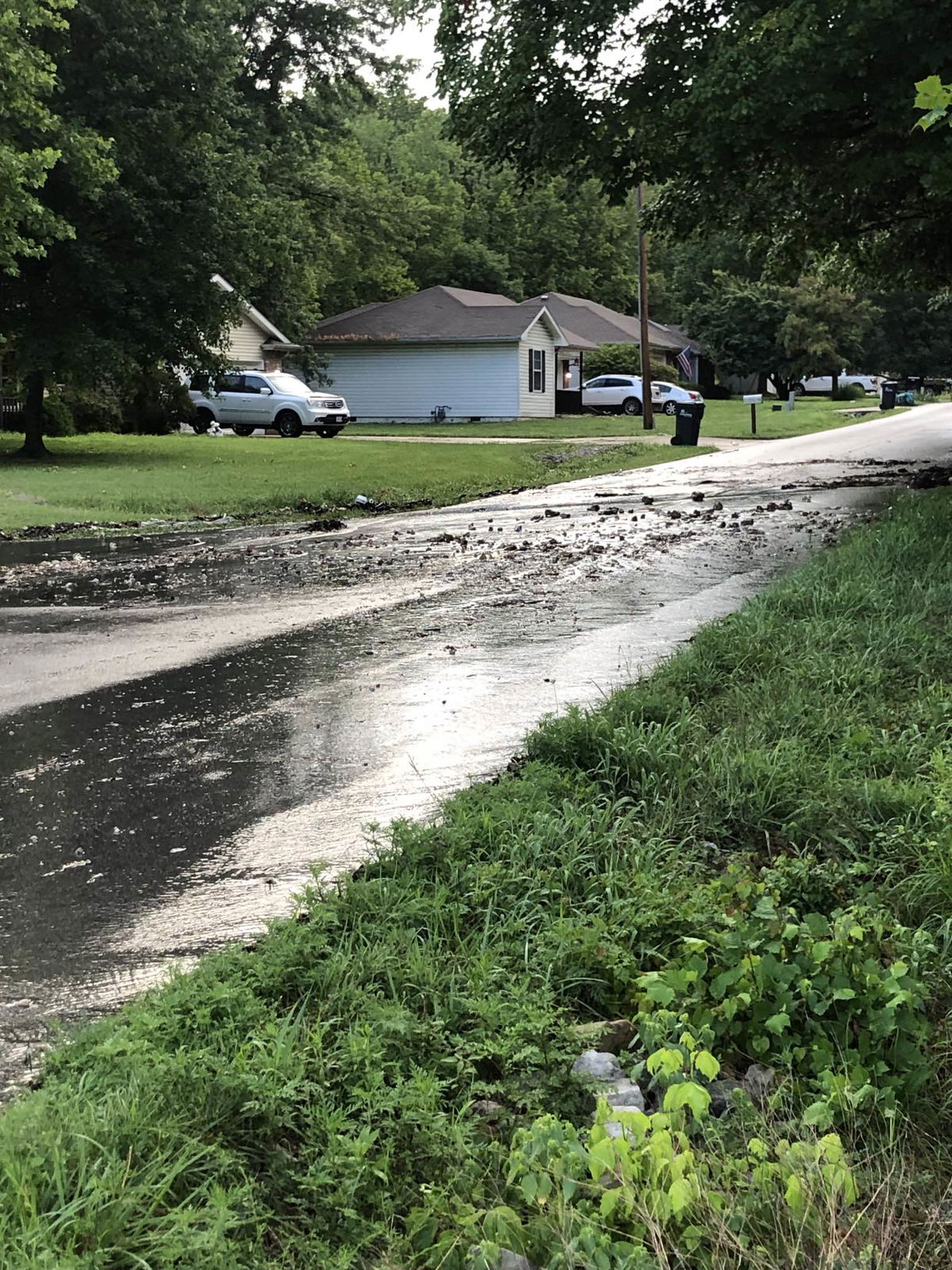 Water and rocks on Old Plank Rd and Forum Blvd