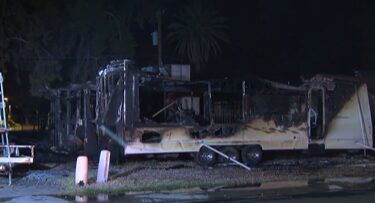 Fire crews are investigating an overnight fire that left multiple pets dead in Phoenix.