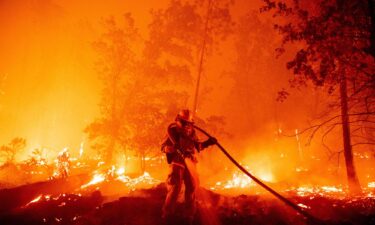 A firefighter douses flames as they push towards homes during the Creek fire in the Cascadel Woods area of unincorporated Madera County