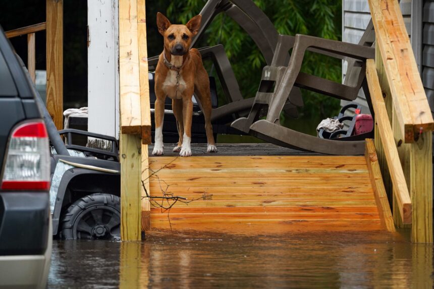 Tropical storm Debby brings tornadoes and more rain to North Carolina