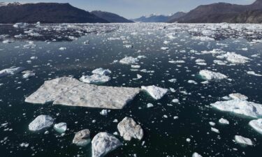 Icebergs drift across the Scoresby Sound Fjord in eastern Greenland in 2023.