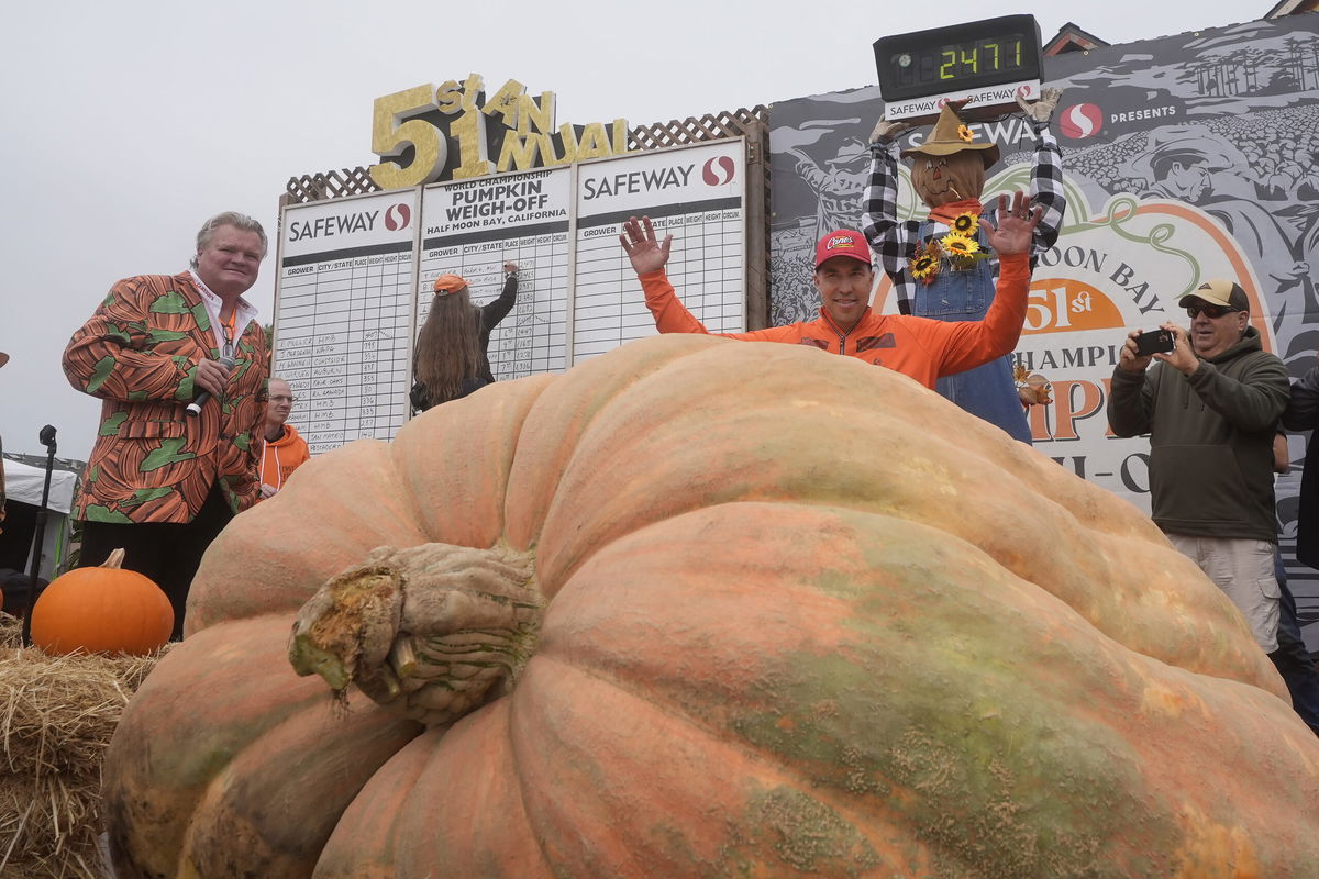 Travis Gienger, of Anoka, Minn., middle, celebrates after his pumpkin weighed in at 2,471 pounds to win at the Safeway World Championship Pumpkin Weigh-Off in Half Moon Bay, Calif., Monday, Oct. 14, 2024. 