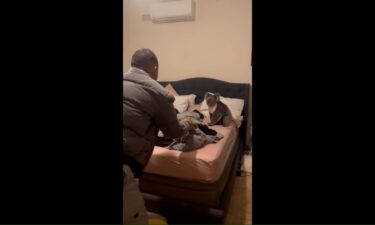 Fran Dias Rufino and her husband Brunno arrive home to find a koala in their bedroom.