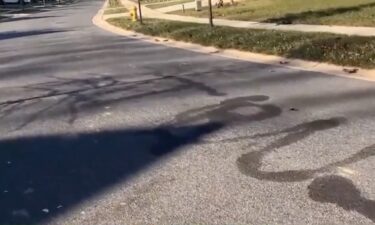 A Maryland man faces charges over allegedly using a flamethrower to leave a permanent message on the surface of his own street. Craig McQuin