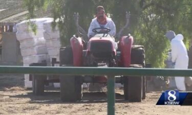 Tens of thousands of ducks and geese had to be put down after the bird flu crept into a hatchery in Monterey County.