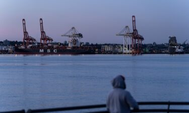 The Vancouver Centerm Terminal is pictured at the Port of Vancouver across Burrard Inlet in North Vancouver