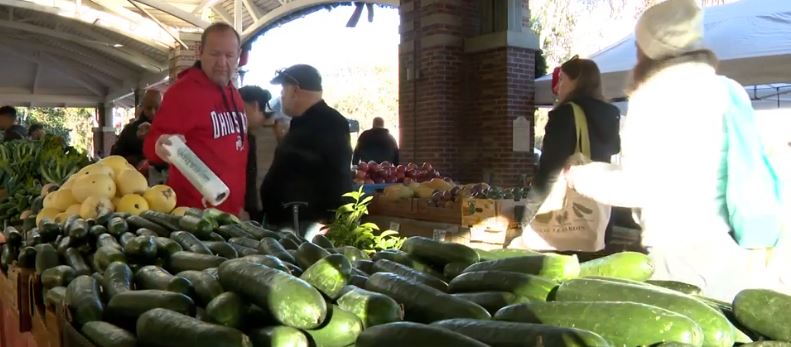 <i>WESH via CNN Newsource</i><br/>Farmers in Central Florida are preparing for a cold snap this week that could impact their crops.