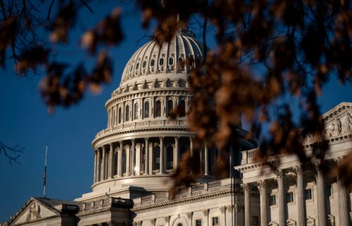 The US Capitol in Washington