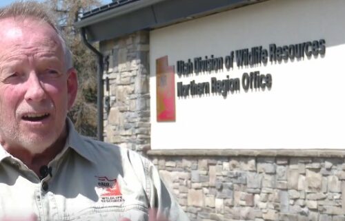 Mark Hadley with the Utah Division of Wildlife Resources hopes humans can be more careful so animals don’t have to pay the price.